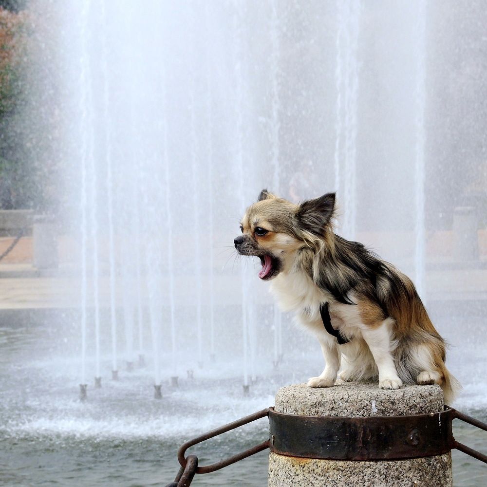 Photograph by Марина Колядина