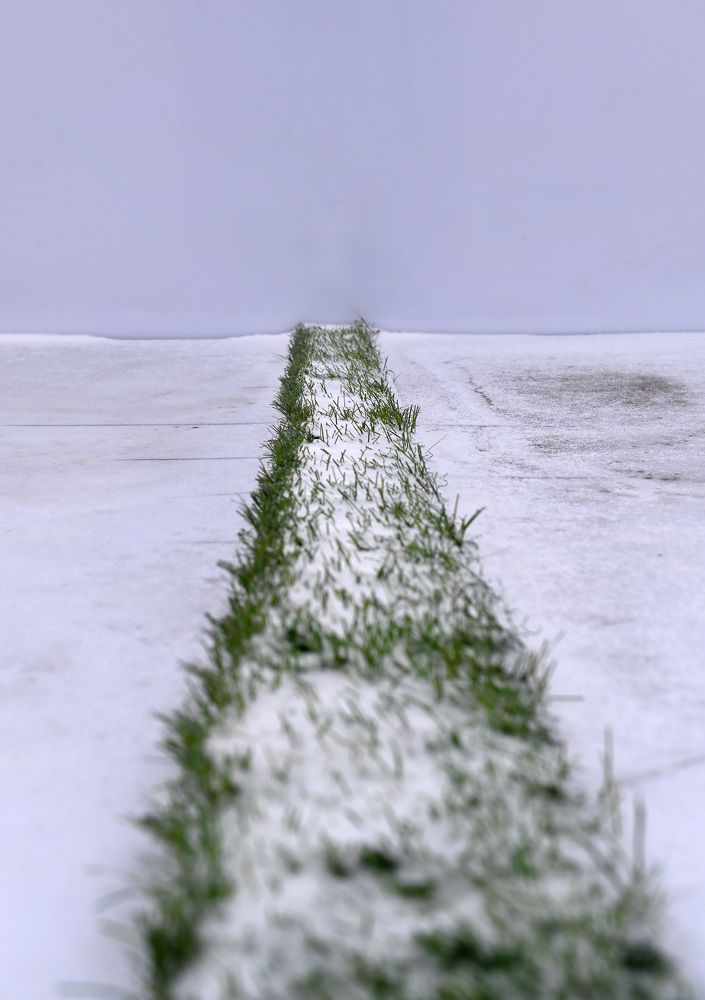 Photograph by Ольга Михайлова