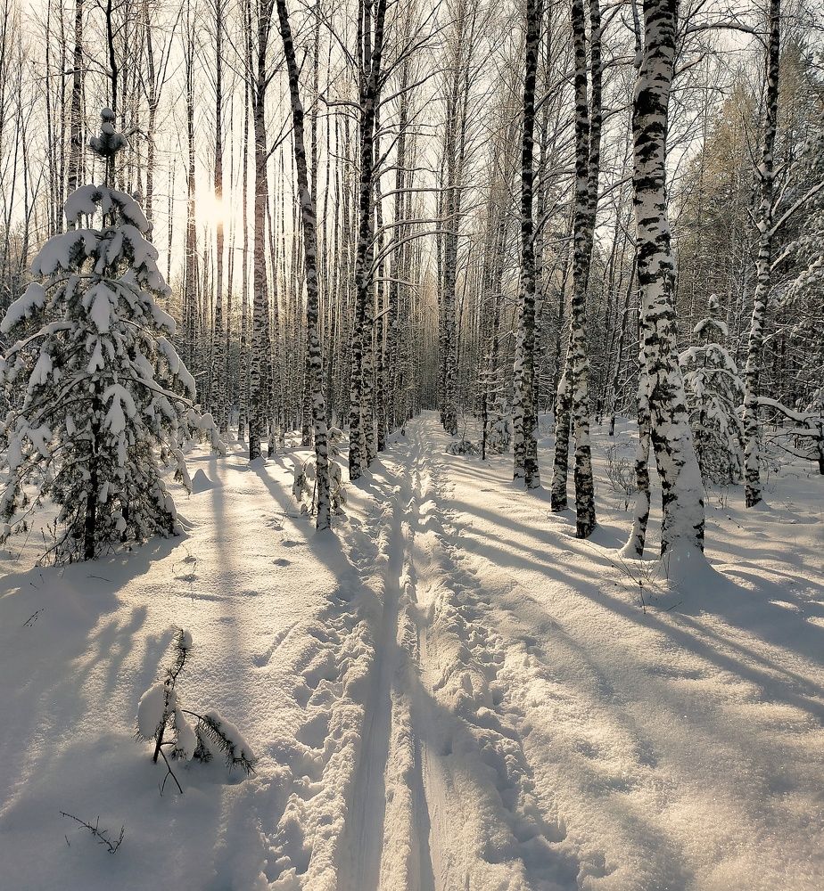 Photograph by Ольга Мартьянова