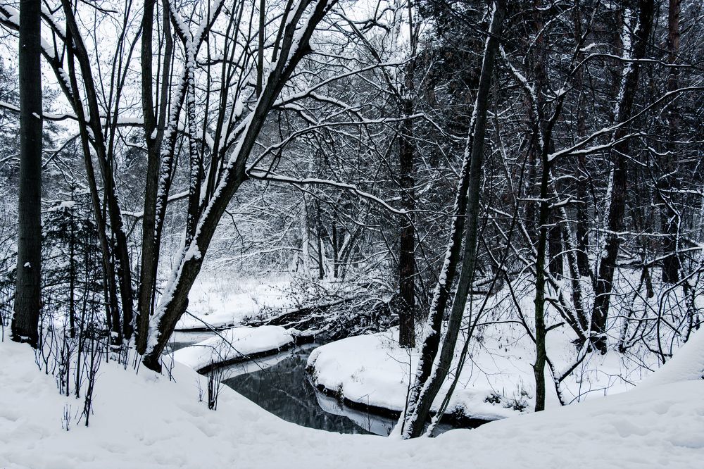 Фотография автора Семён Полторак