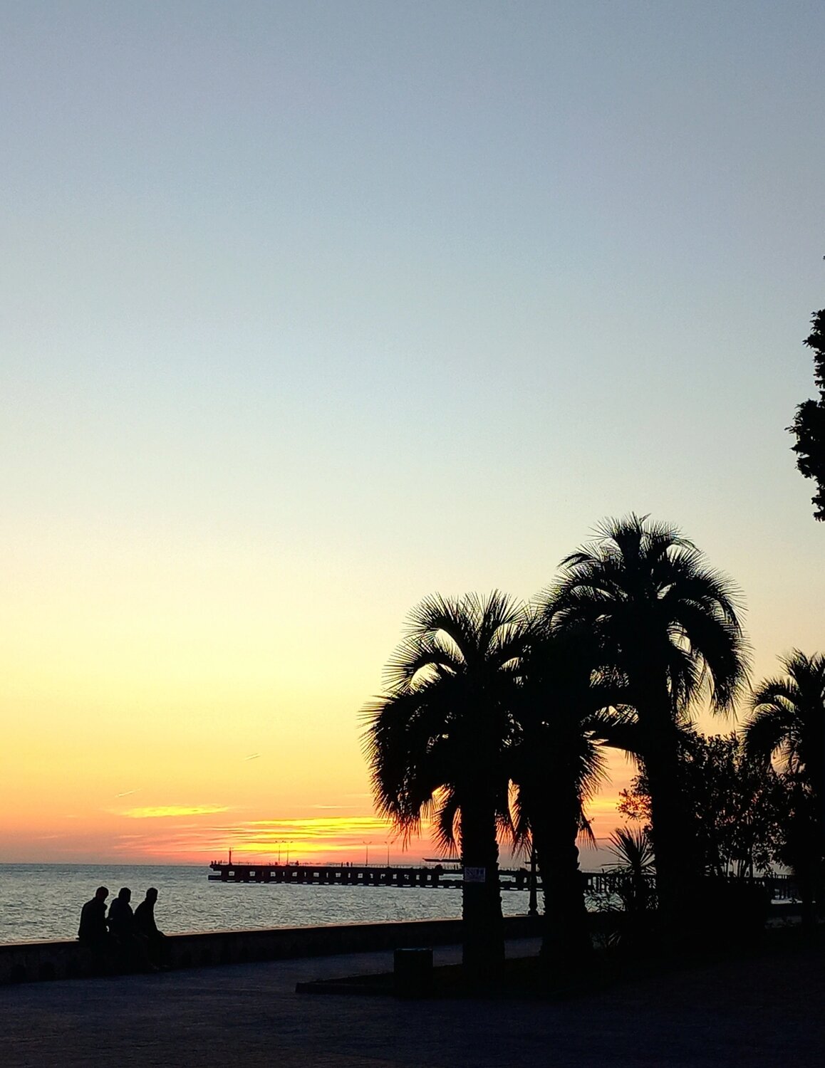 Photo #11704068