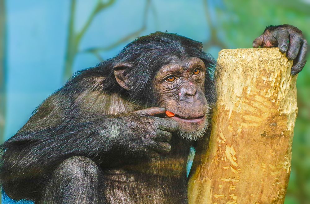 Photograph by Михаил Измайлов