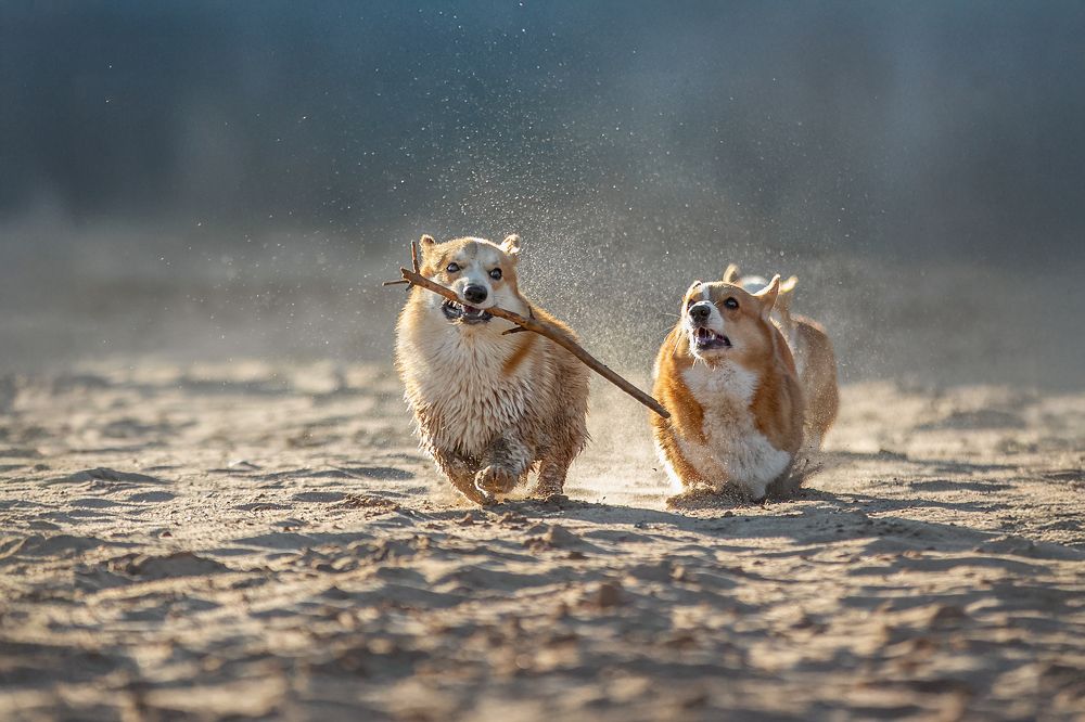 Photograph by Татьяна Тихомирова