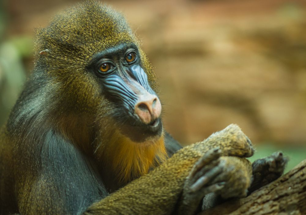 Photograph by Максимова Дария