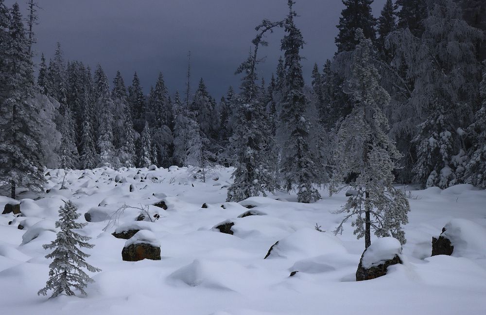 Надвигается непогода...