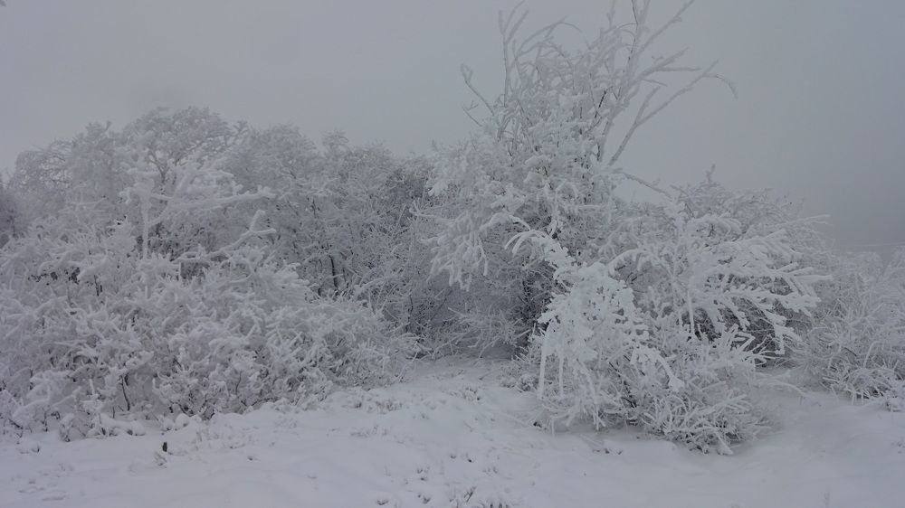 Photograph by Елена Мясникова