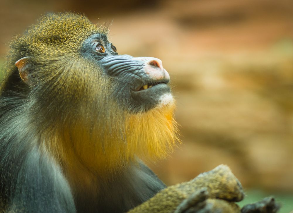 Photograph by Максимова Дария