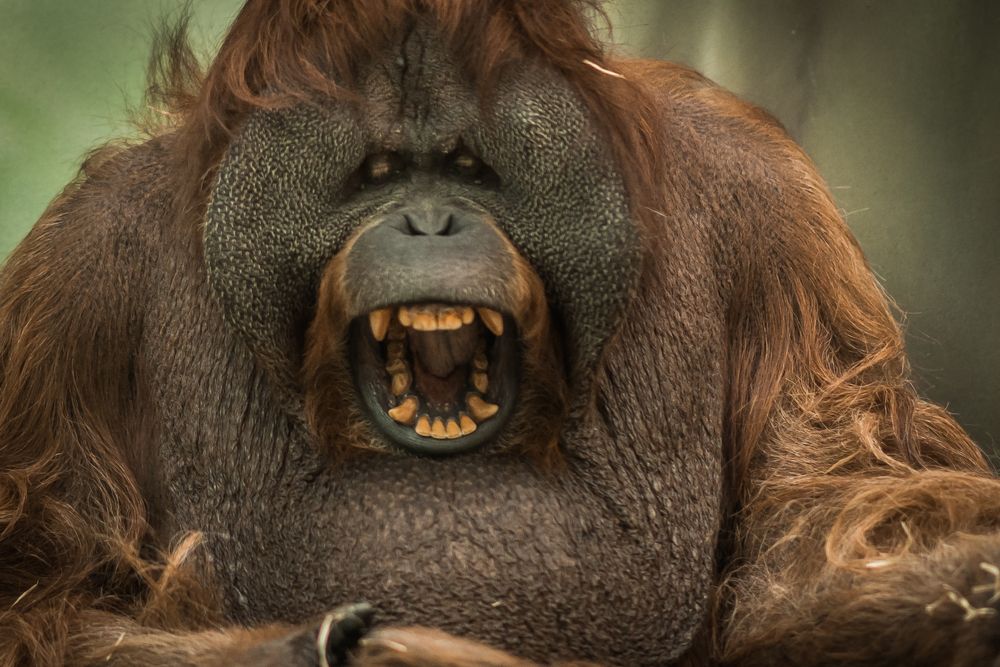 Photograph by Максимова Дария