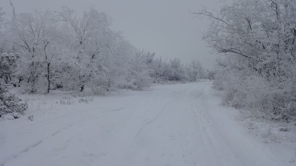 Photograph by Елена Мясникова