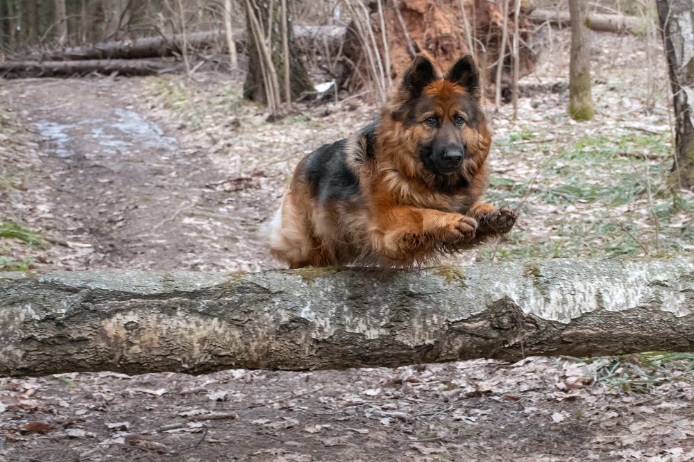 Photograph by Ирина Полунина