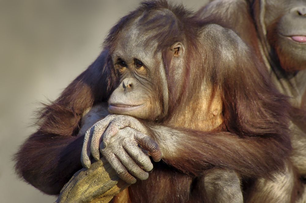 Photograph by Анвар Сейфуллин