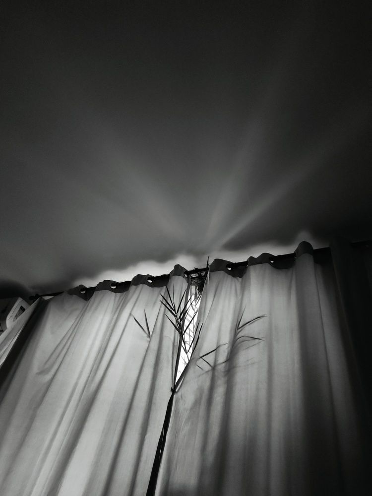 Photograph by Светлана Введенская