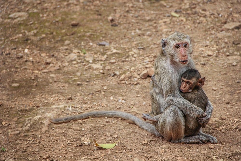 Photograph by Алена Самсонова