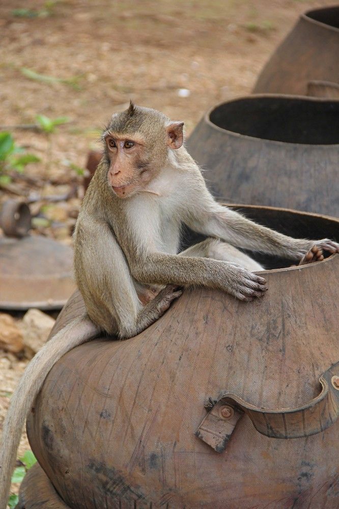 Photograph by Алена Самсонова