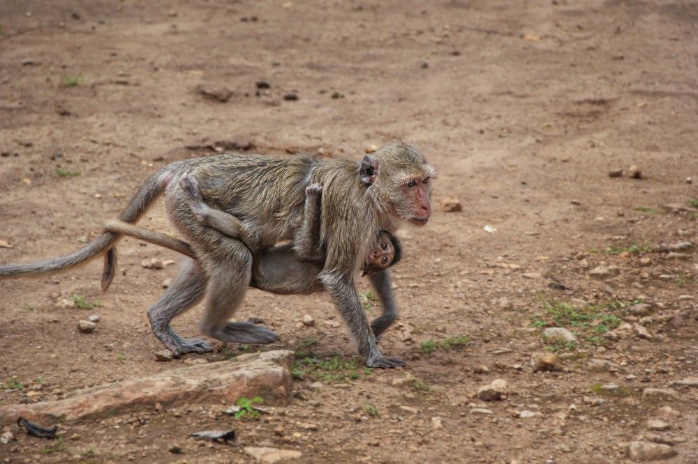 Photograph by Алена Самсонова