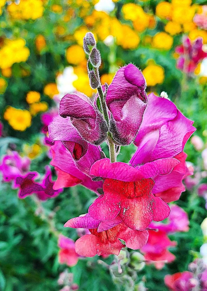 Photograph by Николай Худяков