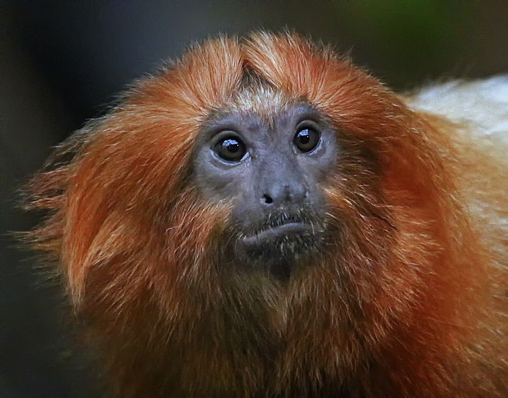 Фотография автора Александр