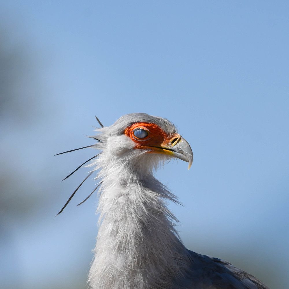 Фотография автора James Frost