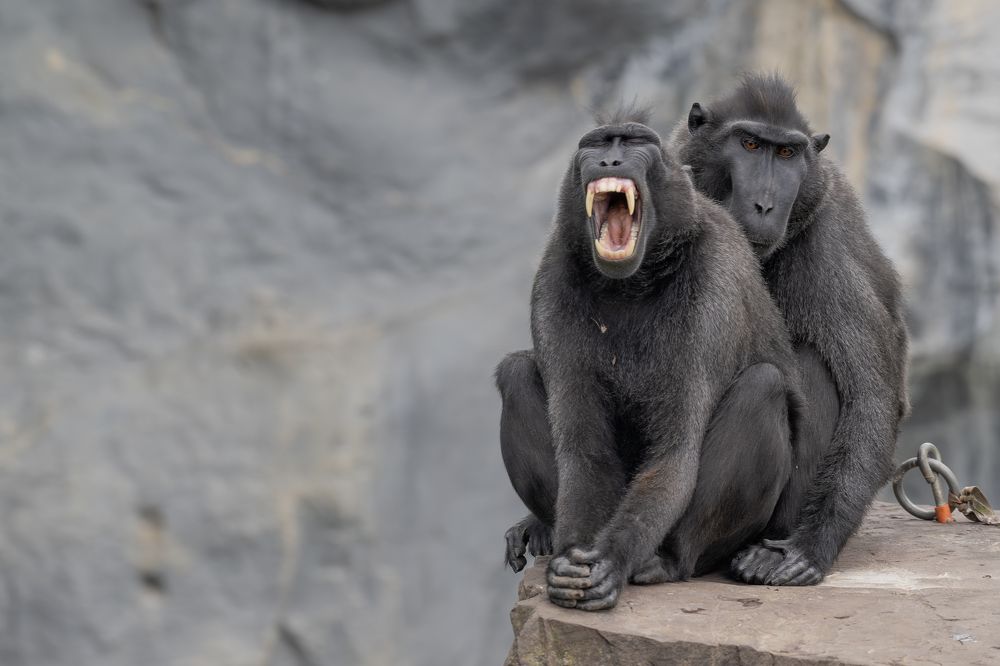 Photograph by eric tkindt