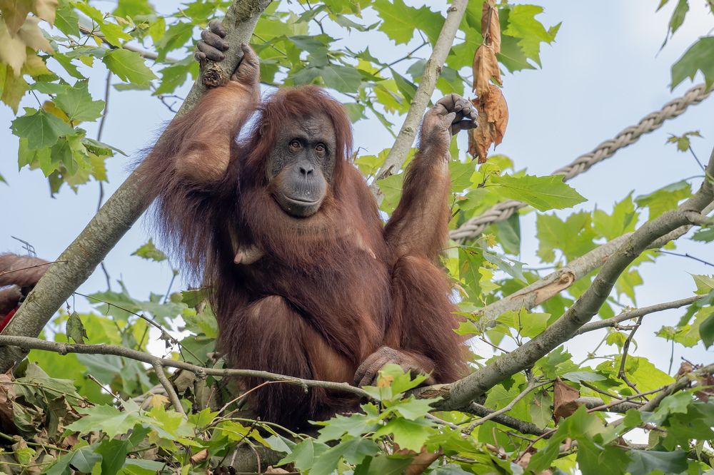 Photograph by eric tkindt