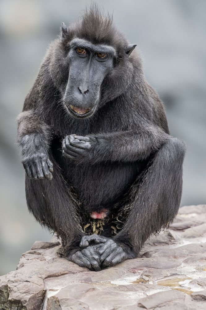 Photograph by eric tkindt