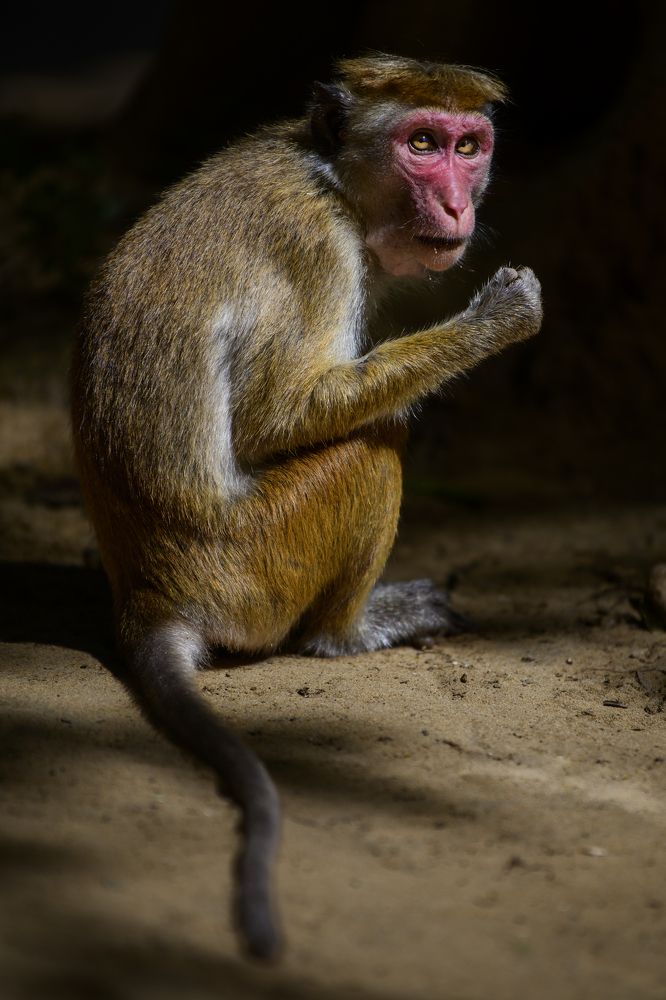 Photograph by Пупонин Сергей