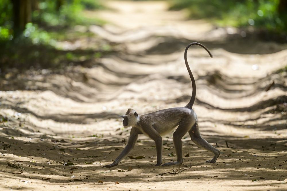 Photograph by Пупонин Сергей