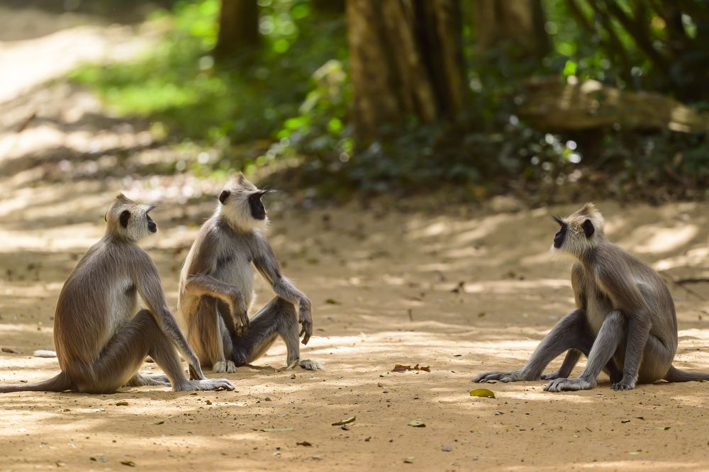 Photograph by Пупонин Сергей