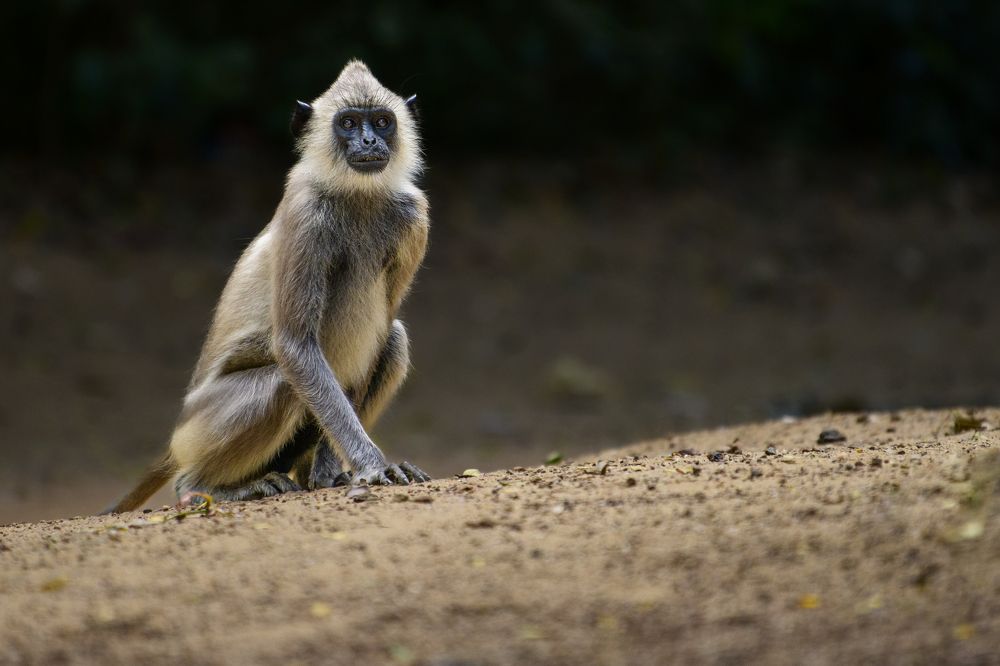 Photograph by Пупонин Сергей