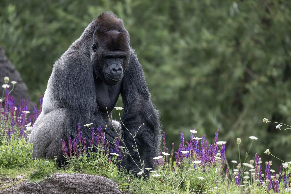 Photograph by eric tkindt