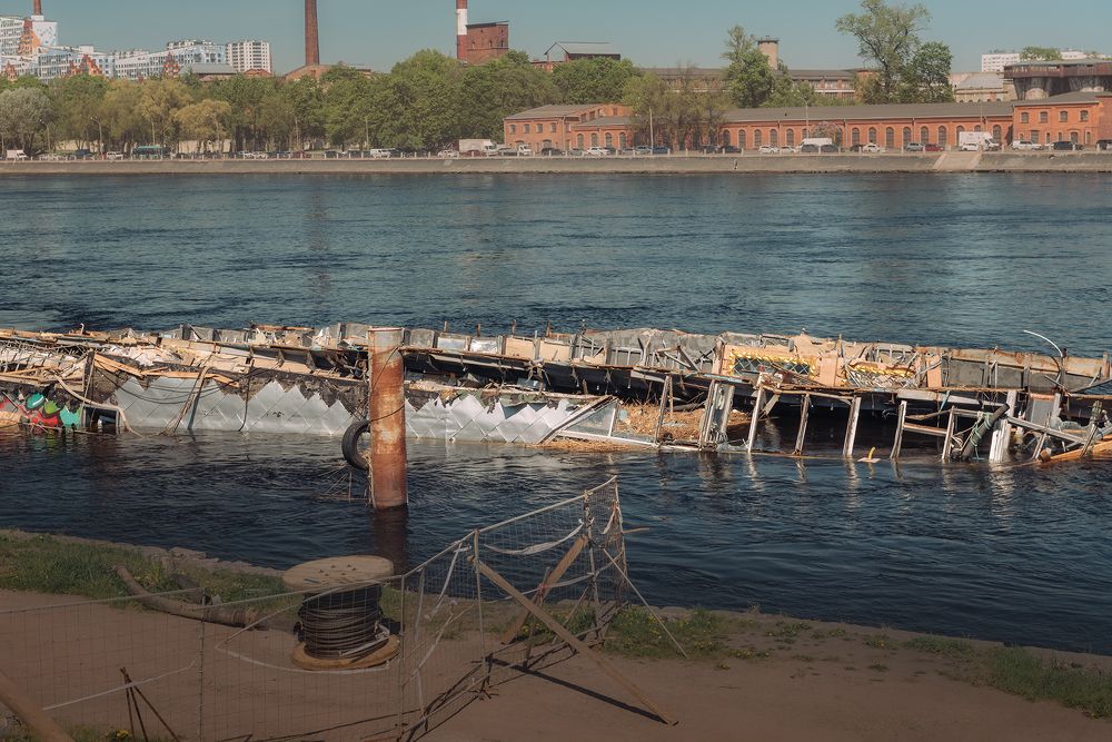 Кит ни в чём не был виноват.