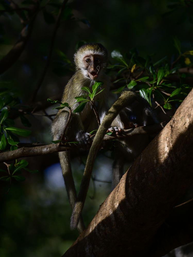 Photograph by Пупонин Сергей