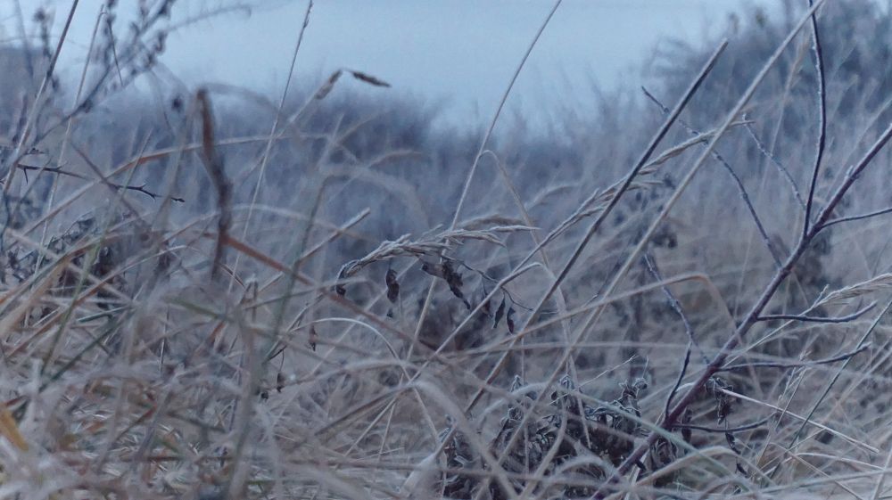 Фотография автора Aiste Adomaitiene