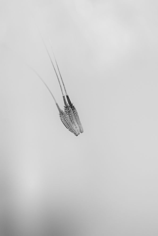 Photograph by Silvina Sánchez