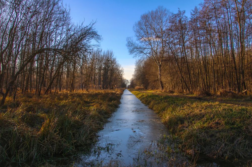 Photograph by Eva Wiedemann