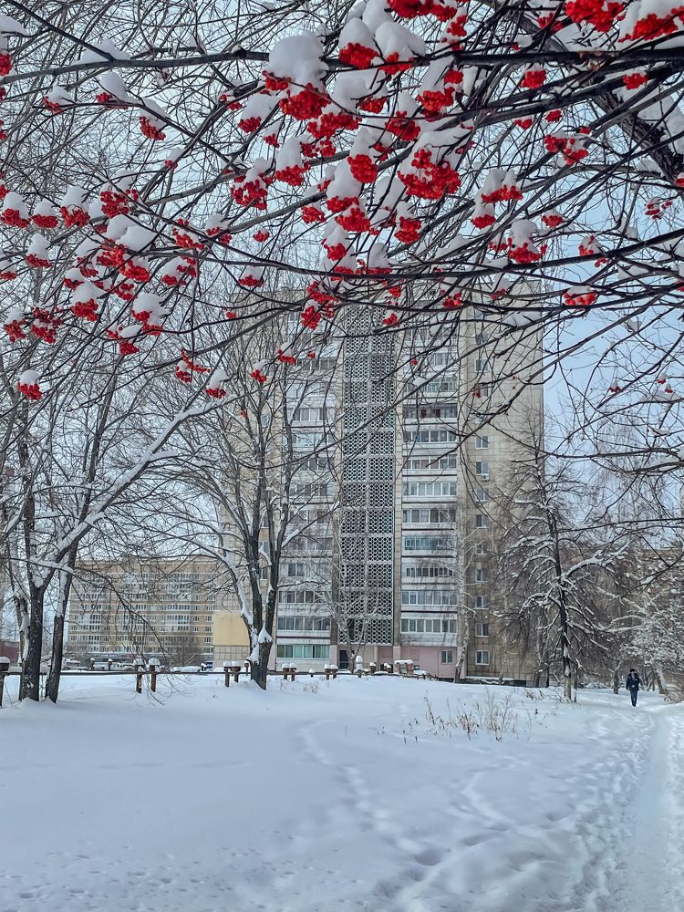 Фотография автора Aliia Iakhina