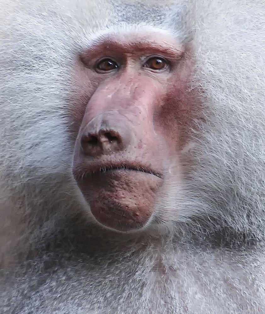 Фотография автора Александр