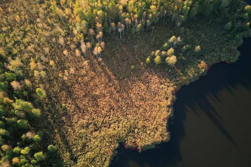 The swamp and a lake from above.