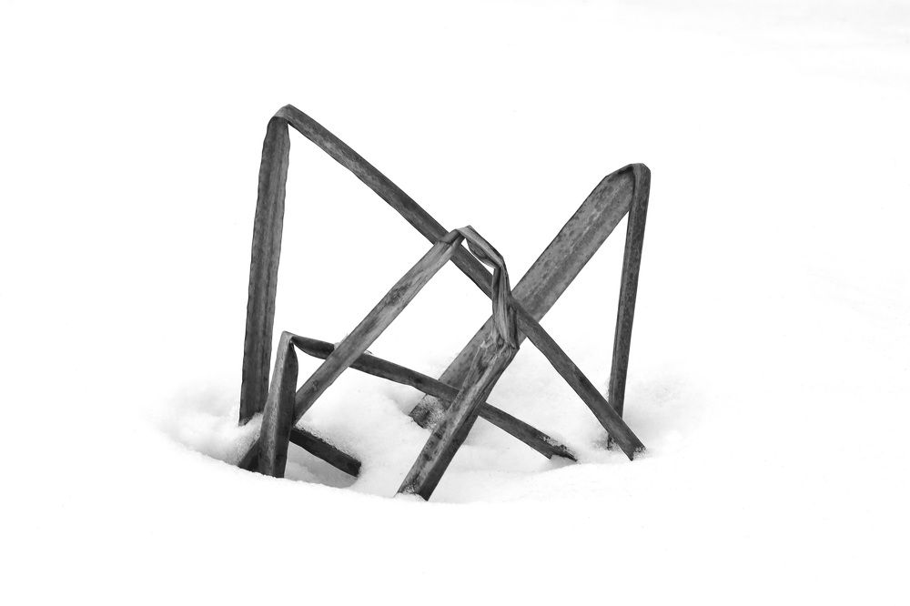 Фотография автора Колосова Елена