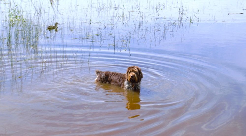 Photograph by Людмила Ваганова