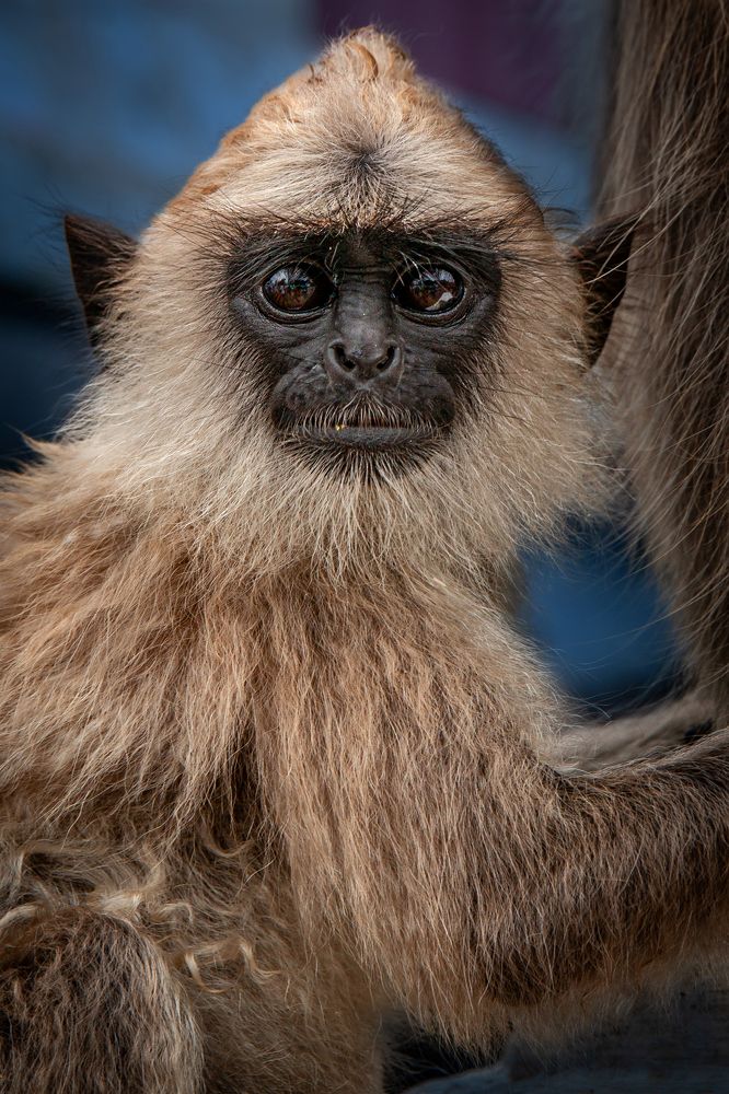 Photograph by Ольга Мусиенко