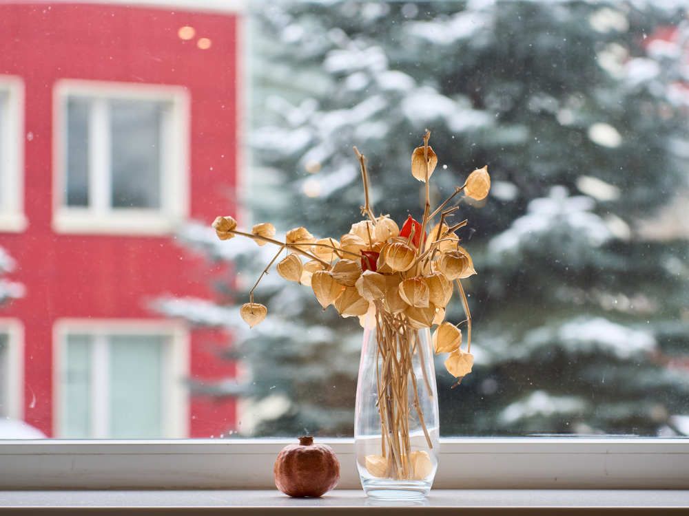 Photograph by Дима Берников