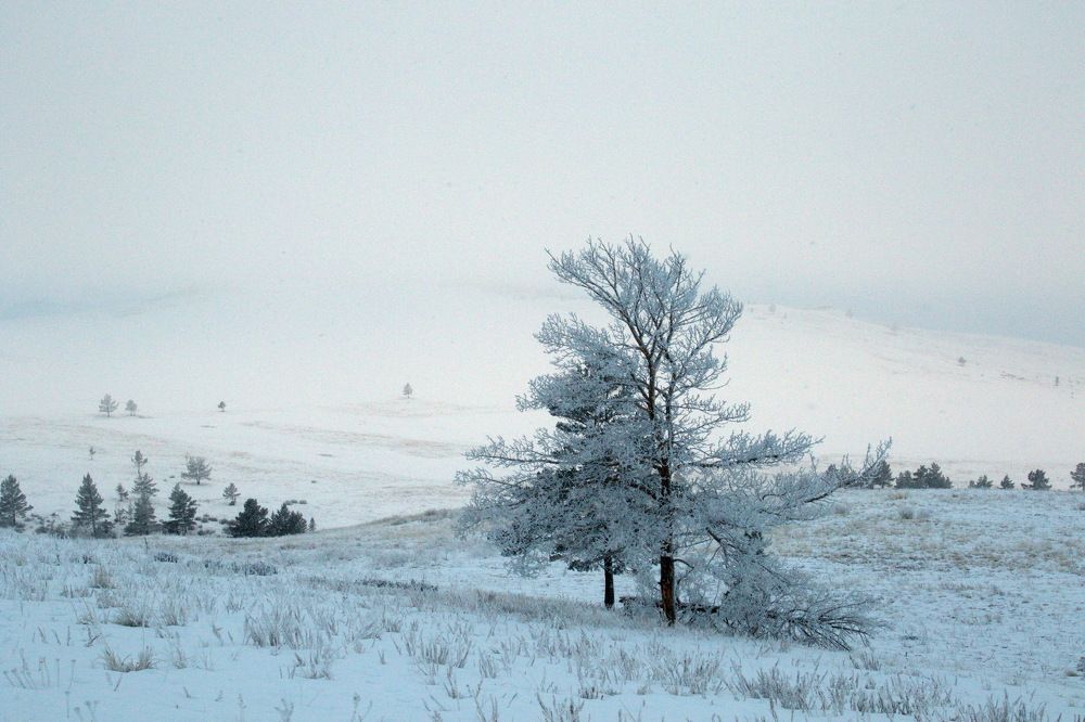 Фотография автора Колосова Елена