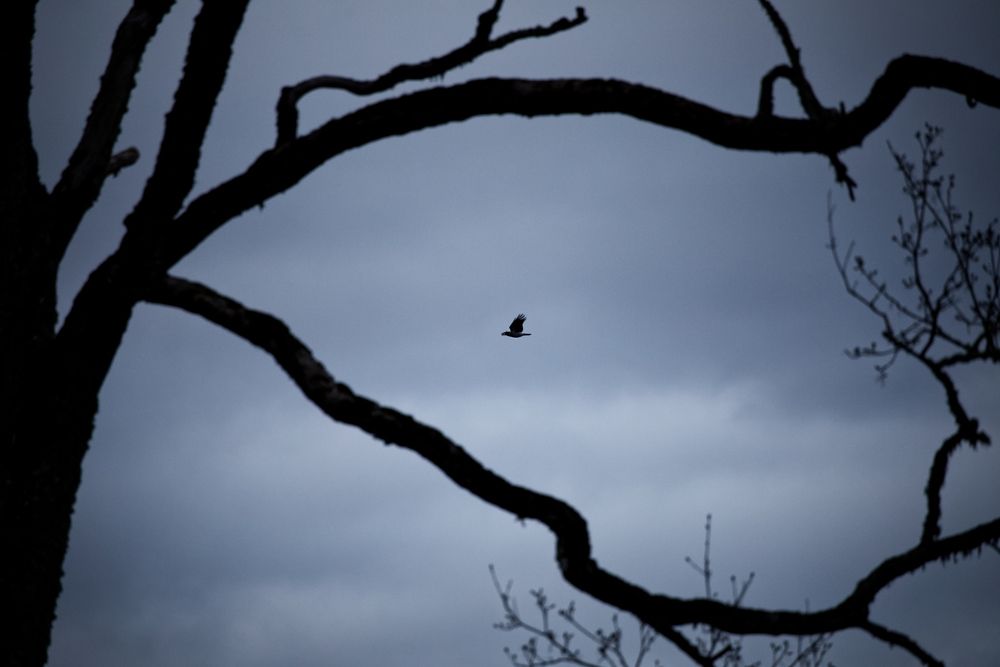 Фотография автора Yuliya Hisova