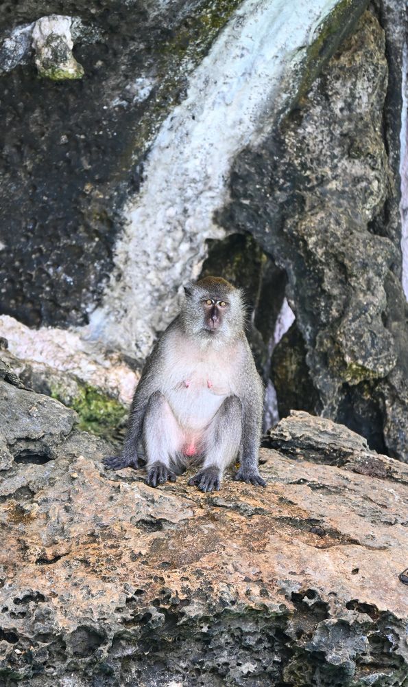 Photograph by shahil shaik