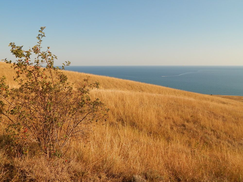 Photograph by Tanivsv