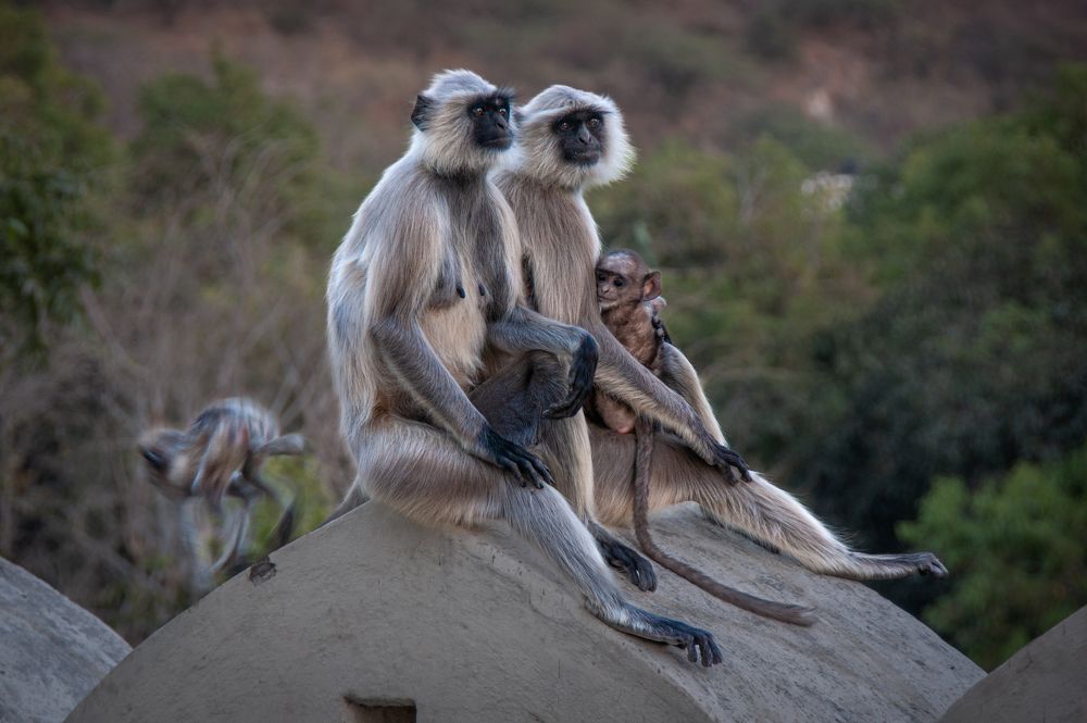 Photograph by Ольга Мусиенко