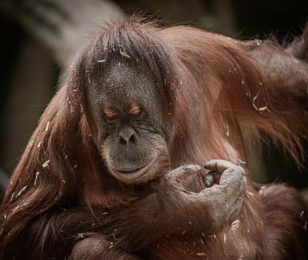 Photograph by Сергей Басов