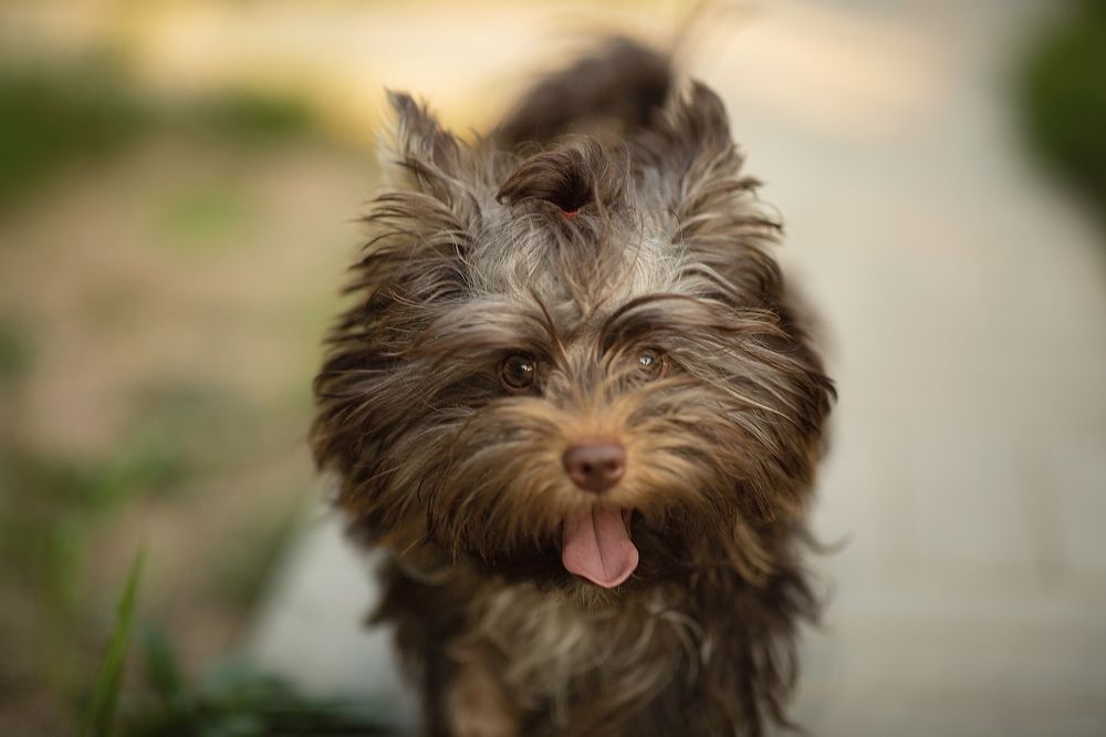 Photograph by Анна Астафьева