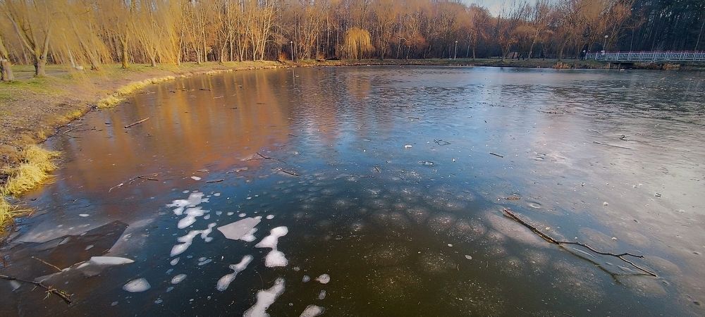 Photograph by Mishel Photographer